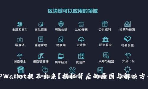 TPWallet提不出来？揭秘背后的原因与解决方案