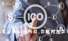 揭秘TPWallet背后的秘密网站